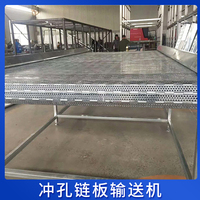 沖孔鏈板輸送機